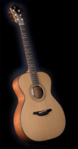 Furch S23 SR Cut + Fishman Prefix Plus
