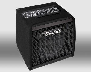 Wzmacniacz basowy Taurus TS-10